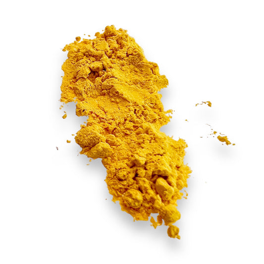 Pumpkin Pretty Picky Powder - Digestion Support for Dogs