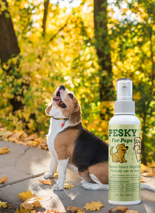 🐶 PESKY for Pups — Natural Insect Repellent for Dogs